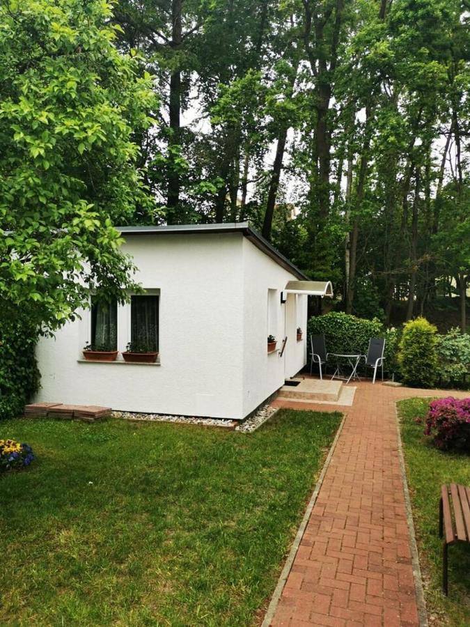 Ferienbungalow Im Igelbau Baabe Dış mekan fotoğraf
